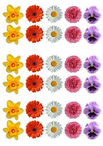 Top That – Lote de 30, selección de flores decoración de pasteles papel comestible – de margaritas Gerbera flores
