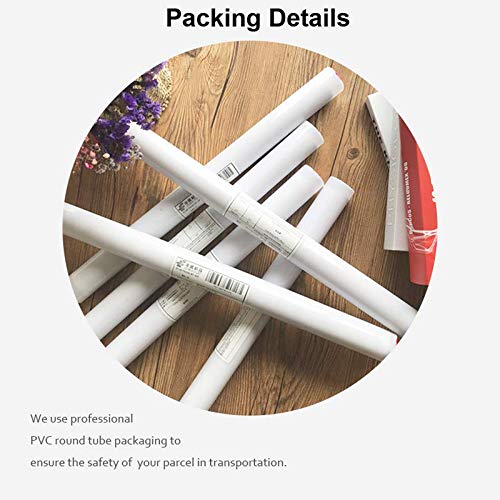 Tpqoaa Cuadro en Lienzo Cuadro Moderno acrilico Almuerzo en canoa Pierre Auguste Renoir 70x90cm Material Tejido no Tejido Impresión Artística Imagen Gráfica Decoracion