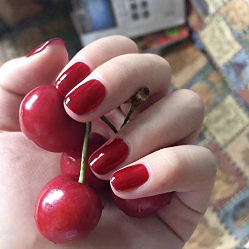 TseenYi Uñas Postizas Rojo Cereza Color Sólido Cuadrado Cubierta Completa Uñas Postizas para Mujeres y Niñas （24 piezas）