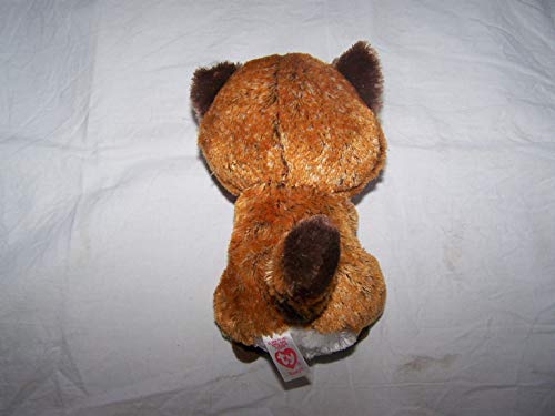 TY- Rusty, Waschbär 15cm Peluche mapache (United Labels Ibérica 36941TY) , color/modelo surtido