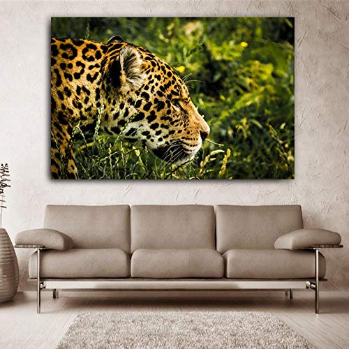 TYLPK Impresión en Lienzo Mural Animal Jaguar Big Cat Dormitorio Mural Home Living Room Art Decoration A1 30x40cm