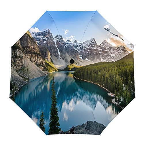 Umberlla plegable de viaje con águila calva Halcón, apertura y cierre automático al aire libre, compacto, resistente al viento, para hombres, mujeres y niños
