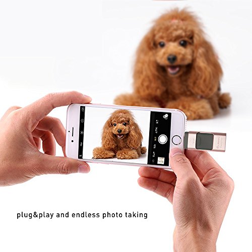 USB 3.0 32 GB Pendrive, Penobon 3 en 1 Memoria Flash USB Lápiz Drive OTG para iPhone, iPad, Android, PC (Oro Rosa)