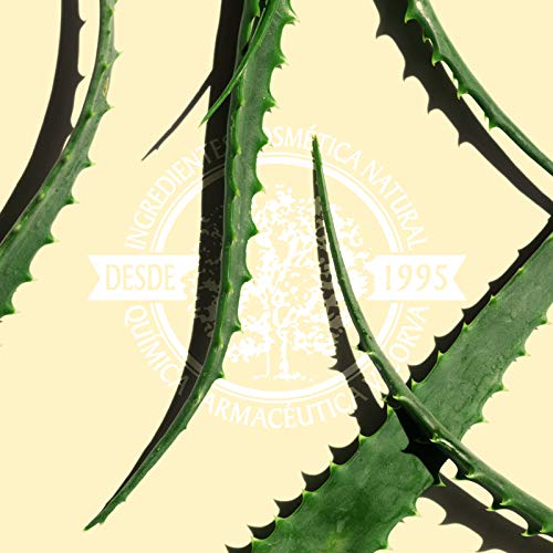 VICORVA GEL DÉRMICO ALOE VERA | Con jugo de aloe vera puro | Para todo tipo de pieles | Hidratante y calmante | 250ml