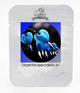 VISTARIC 2: 100 piezas/bolsa Bonsai tulipÃ¡n Semillas Las semillas de 20 variedades del arco iris Negro azul amarillo pÃºrpura flor del tulipÃ¡n Plantas en maceta