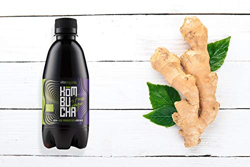 Vita Organic – Kombucha Bio Orgánica Natural Vegana con Jengibre Fresco 330ml (Paquete de 12 Botellas)