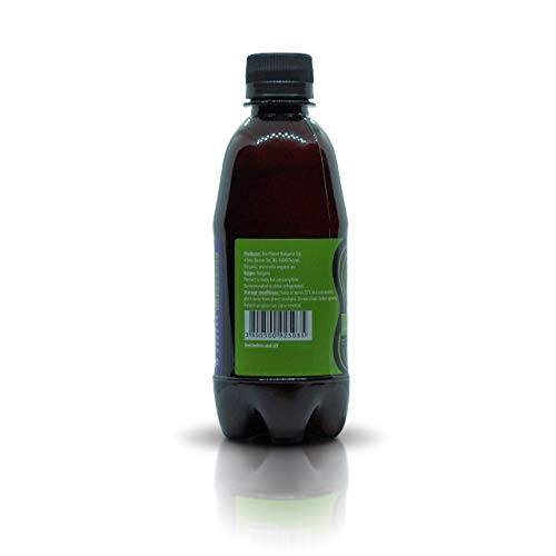 Vita Organic – Kombucha Bio Orgánica Natural Vegana con Jengibre Fresco 330ml (Paquete de 12 Botellas)
