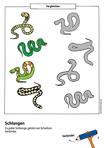 Vorschulblock - Konzentration und Wahrnehmung ab 5 Jahre