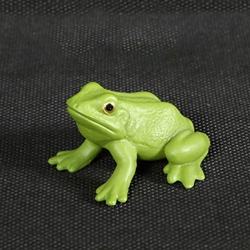 Vosarea - 1 juego de rana ciclo de vida para clases, accesorios educativos para niños, estudiantes, amigos, profesores, plástico, Rana, Talla 1