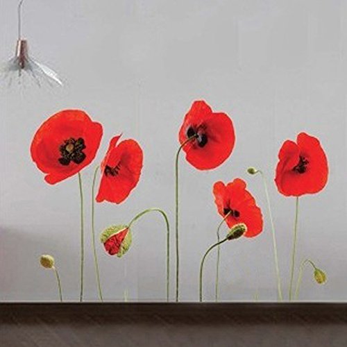 Walplus - Vinilos Adhesivos de Quita y pon, diseño de Amapola, Transparentes