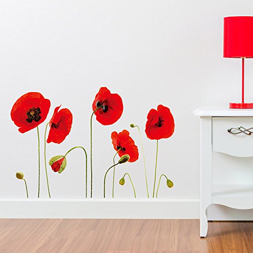 Walplus - Vinilos Adhesivos de Quita y pon, diseño de Amapola, Transparentes