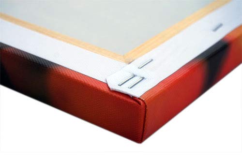 weewado Vladimir Golubev - Colonia de Coral - Mar Rojo - Egipto - 75x50 cm - Impresion en Lienzo - Muro de Arte - Canvas, Cuadro, Poster - Animals