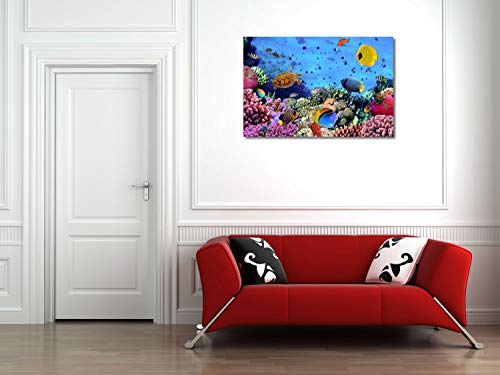 weewado Vladimir Golubev - Colonia de Coral - Mar Rojo - Egipto - 75x50 cm - Impresion en Lienzo - Muro de Arte - Canvas, Cuadro, Poster - Animals