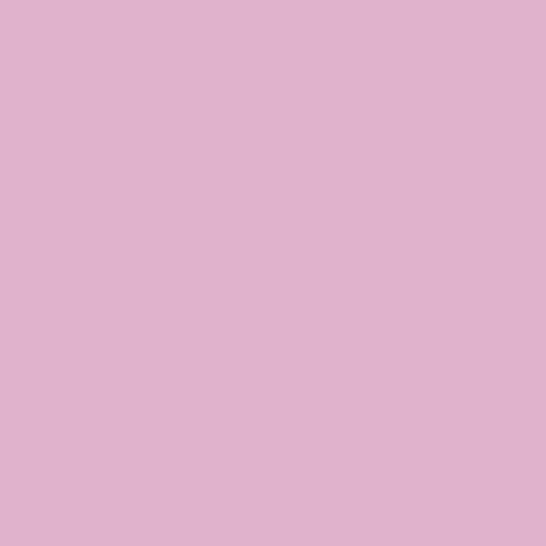 Wet n Wild Perfect Pout Gel Lip Liner (Think Flamingos) - Perfilador de Labios de Gel – Color Duradero - Aplicación Precisa y Suave - 0,25gr - 1 unidad