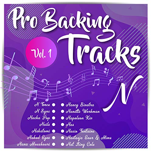 Why Worry (Karaoke Version Originally Performed by Nana Mouskouri)