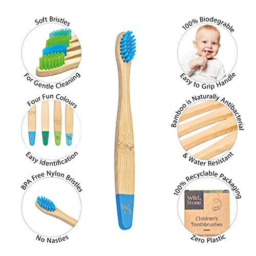 Wild & Stone | Cepillo de dientes de bambú orgánico para niños | Quattro Colori di Acqua | Soffice fibra setole | Mango 100% biodegradable | Cepillos de dientes veganos orgánicos