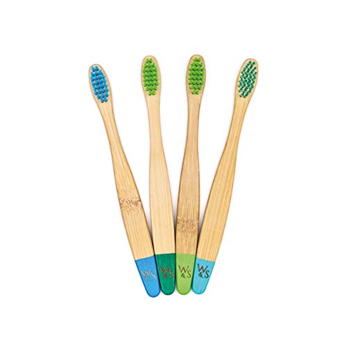 Wild & Stone | Cepillo de dientes de bambú orgánico para niños | Quattro Colori di Acqua | Soffice fibra setole | Mango 100% biodegradable | Cepillos de dientes veganos orgánicos