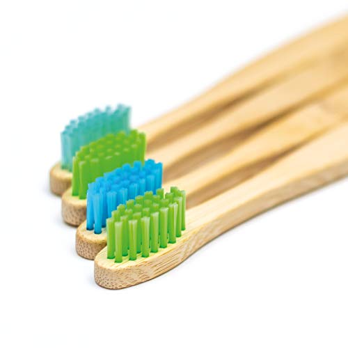 Wild & Stone | Cepillo de dientes de bambú orgánico para niños | Quattro Colori di Acqua | Soffice fibra setole | Mango 100% biodegradable | Cepillos de dientes veganos orgánicos