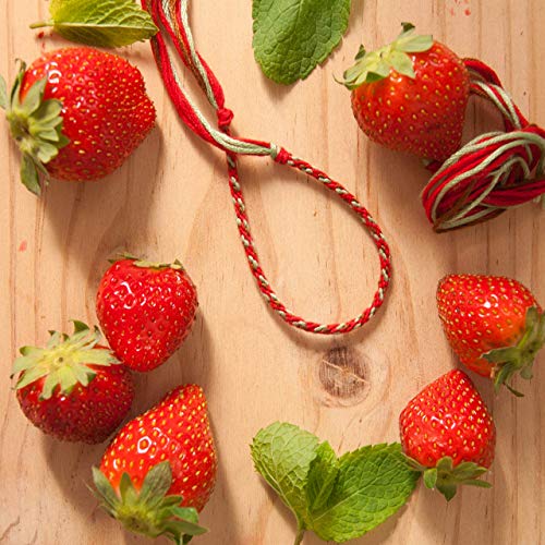 Wrist BCN Pulseras de hilo Coloridas Juveniles para Hombre Mujer Niños