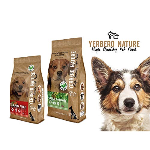 YERBERO Nature Grain Free salmón/Trucha Comida para Perros SIN Cereales 12kg
