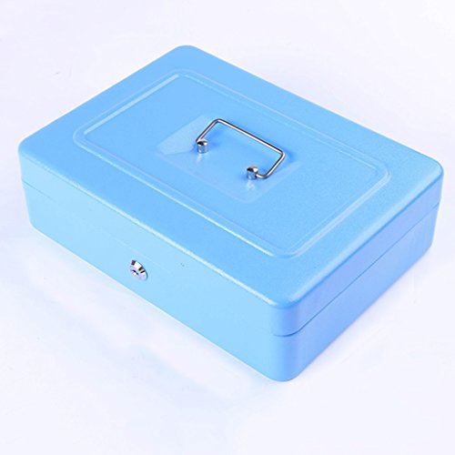 YNLRY - Caja de almacenamiento con cierre de hierro pequeña y criptográfica, caja de almacenamiento de cosméticos, cajas de joyería de 29,9 x 21,9 x 8,8 cm (color: negro).