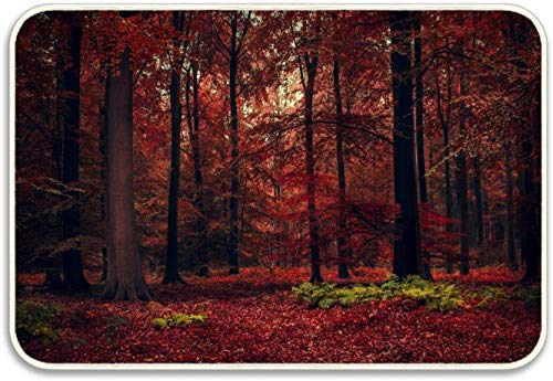 Yuanmeiju Fashion 3D Print Door Mat Earth Birch Forest Fall Foliage Yellow Welcome Felpudo for Indoor Outdoor23.6(L) x 15.7(W) Inch