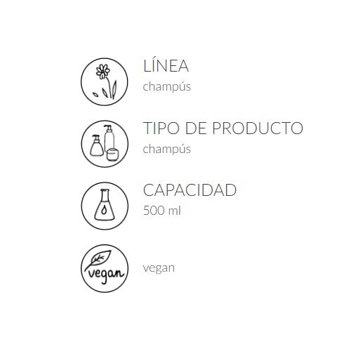 Ziaja - Champu Lavanda Cabello Graso