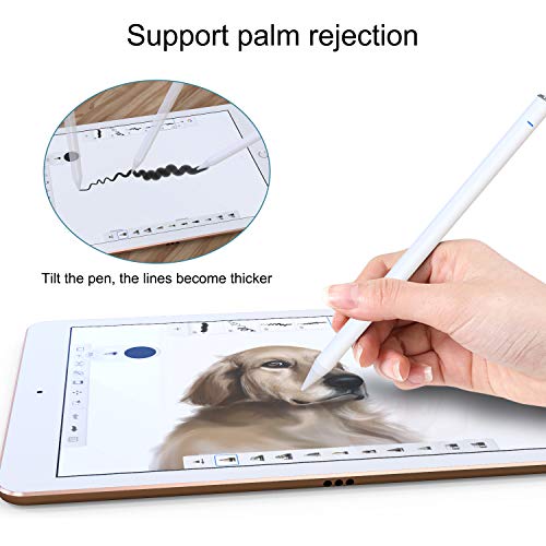 Zspeed Stylus Pen 3nd Gen para iPad 2018/2019/2020 con Palm Rejection 1.0mm Fine Tip Lápiz iPad Perfectamente Preciso para Escribir, Dibujar, Tomar Notas, Jugar Juegos