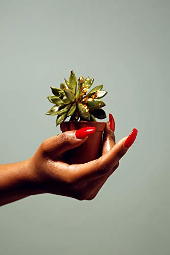 10 de purpurina dorada de tamaño grueso de origen vegetal, vegana y biodegradable para cara y cuerpo.