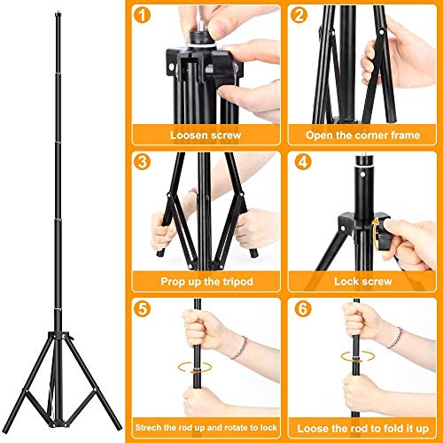 10 Pulgadas Anillo De Luz para Selfie,Anillo De Luz Led,Viene con 2 Tipos De Trípode Y Soporte para Teléfono Móvil,Adecuada para Transmisión En Vivo, Maquillaje, Fotografía, Blogs De Video, Etc.