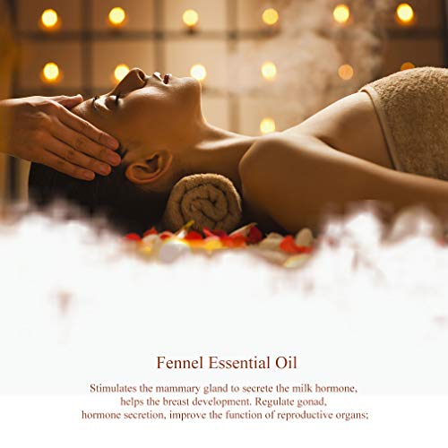 100% puro hinojo Aceite esencial, aromaterapia hinojo aceite perfumado para difusores, humidificador, 0.33oz-10ml grado terapéutico hinojo fragancia aceite esencial para masaje, hogar