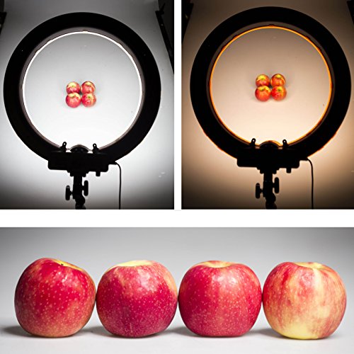13 "LED Ring Light 550W 5400K Dimmer infinitamente ajustable Perfect Beauty Ringlight para retratos o tutoriales de maquillaje de YouTube con 240 LED regulables y soporte robusto incluido