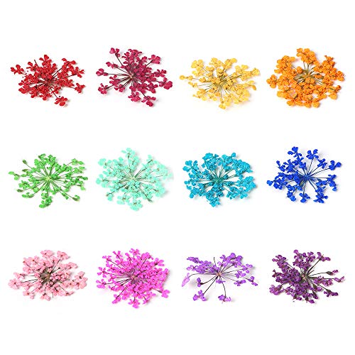 2 Boxes Real Natural Dried Flowers for Nail Art, Mwoot 22 Colors Dry Flowers with green Leaves Nail Art Supplies 3D Applique Nail Decoration Sticker for Tips Manicure Décor