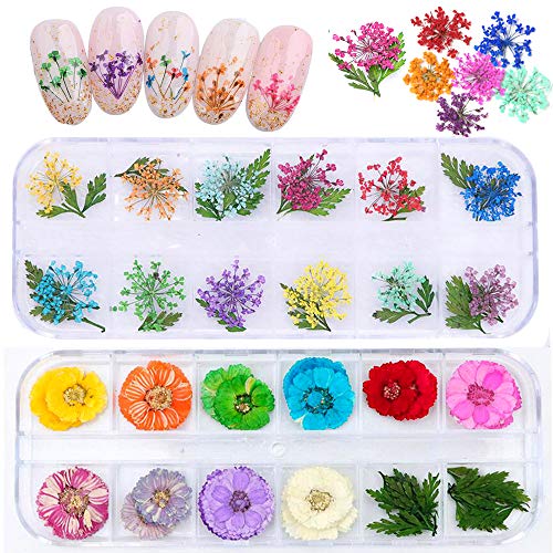 2 Boxes Real Natural Dried Flowers for Nail Art, Mwoot 22 Colors Dry Flowers with green Leaves Nail Art Supplies 3D Applique Nail Decoration Sticker for Tips Manicure Décor