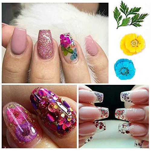 2 Boxes Real Natural Dried Flowers for Nail Art, Mwoot 22 Colors Dry Flowers with green Leaves Nail Art Supplies 3D Applique Nail Decoration Sticker for Tips Manicure Décor