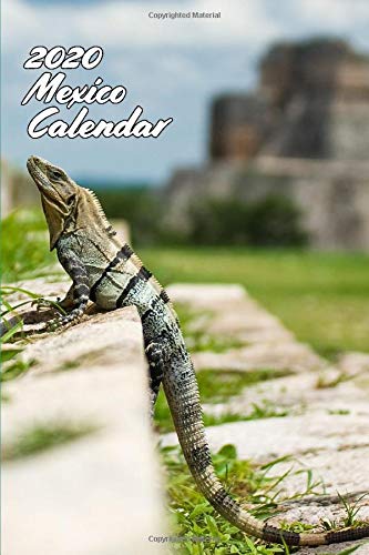 2020 Mexico Calendar MONTHLY & WEEKLY PLANNER NOTEBOOK: 6x9 INCH CALENDAR FROM DEC 19 TO JAN 21 WITH MONTHLY OVERVIEW IN FRONT FOLLOWED BY A WEEKLY ... A PERFECT BIRTHDAY OR CHRISTMAS PRESENT IDEA