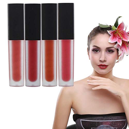 4 Piezas Set de Brillo Labial Mate, Herramienta Cosmética de Maquillaje de Labios de Larga Duración y No Pegajosa(C)