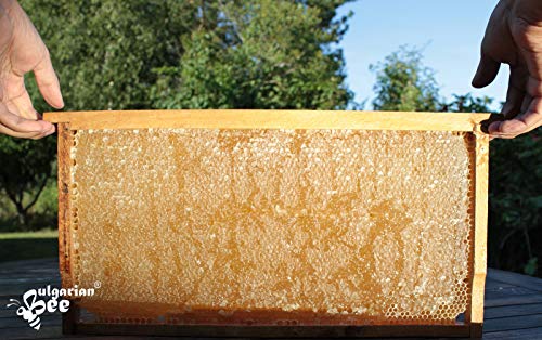 700 g Panal de Flores Silvestres Crudas Orgánicas, Natural, Puro, fresco, directamente de la colmena, hecho a mano, producto absolutamente real.