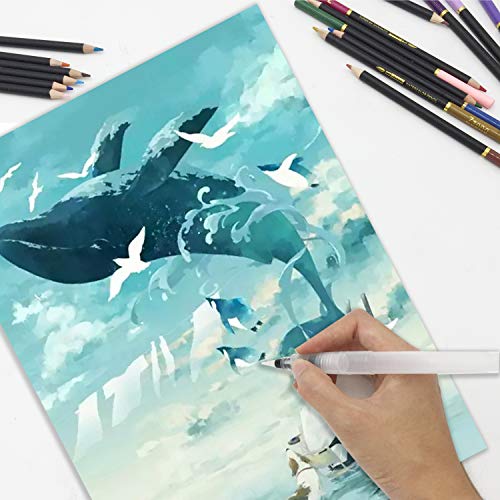 72 Lápices de Colores Acuarelables en estuche con cremallera, Fácil de almacenar y proteger sus lápices de dibujo profesionales, ideales para adultos niños, principiantes y expertos