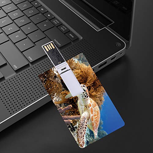 8GB Unidades Flash USB Flash Tortuga Forma de Tarjeta de crédito bancaria Clave Comercial U Disco de Almacenamiento Memory Stick Arrecife de Coral y Tortugas Marinas,Foto de la Isla Bonaire,Aguas mar
