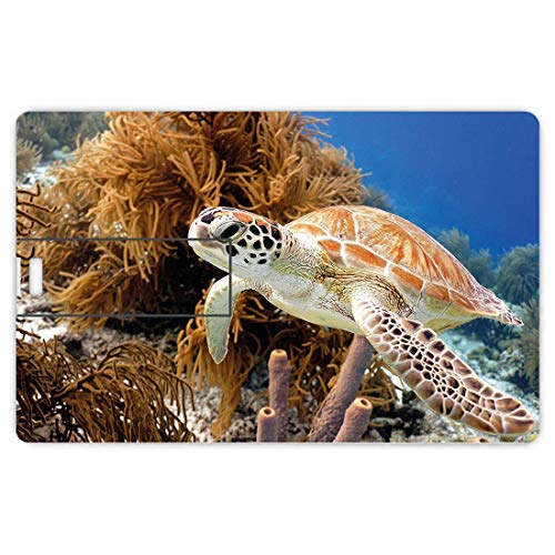 8GB Unidades Flash USB Flash Tortuga Forma de Tarjeta de crédito bancaria Clave Comercial U Disco de Almacenamiento Memory Stick Arrecife de Coral y Tortugas Marinas,Foto de la Isla Bonaire,Aguas mar