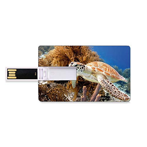 8GB Unidades Flash USB Flash Tortuga Forma de Tarjeta de crédito bancaria Clave Comercial U Disco de Almacenamiento Memory Stick Arrecife de Coral y Tortugas Marinas,Foto de la Isla Bonaire,Aguas mar