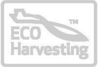 Aceite de Krill Superba de LLS | Pescado sostenible por Aker BioMarine | 500mg x 60 cápsulas blandas | para un corazón sano, articulaciones y apoyo inmunitario | Hecho en el Reino Unido bajo licencia GMP