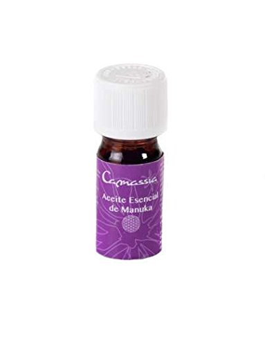 Aceite esencial manuka (Leptospermum scoparium) 5 ml