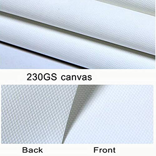 Acuarela animal pintura bóveda caballo lienzo pintura animal pintura para sala decoración pintura B 70x90cm