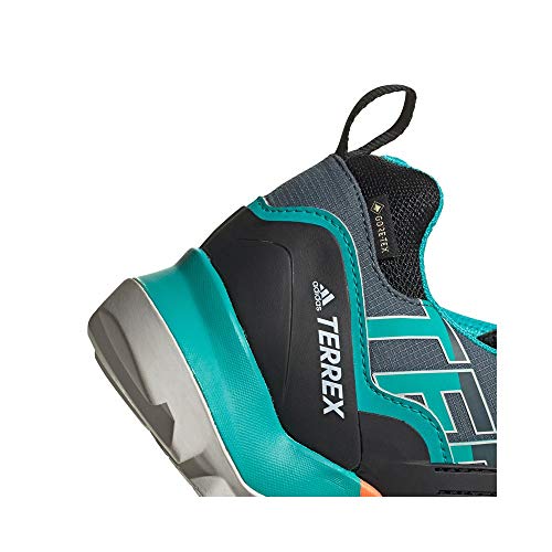 adidas Terrex Swift R2 GTX, Zapatillas de Hiking para Hombre, AZULEG/NEGBÁS/NARSEN, 42.67 EU
