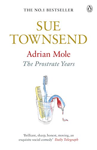 Adrian Mole: The Prostrate Years (English Edition)
