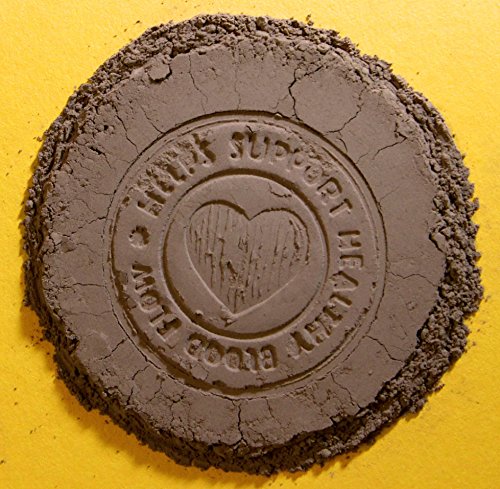 Aduna Flavanol Super Cacao en polvo 275g