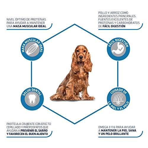 Advance Pienso para Perro Medium Adulto con Pollo - 14000 gr