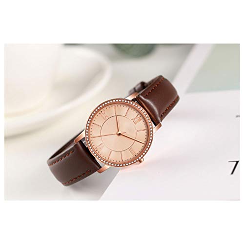 Afairy Reloj del Rhinestone de Las señoras del Reloj del Cuero de los números Romanos del análogo de Cuarzo Impermeable Reloj señoras de la Moda (Color : C)